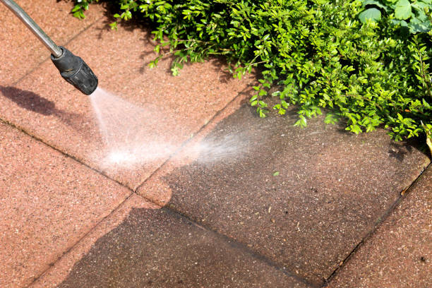 Best Exterior Home Cleaning  in Blanchester, OH